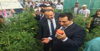 Tarımla Engelleri Aşıyoruz İlk Meyvelerini Verdi