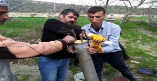 Diyarbakırda 18 Bin 842 Meyve Ağacı Aşılandı