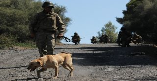 (Özel) Yüzde 99 Başarı, Onlar İçin “Başarısızlık”