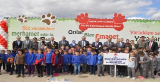 Kastamonu Belediyesi Sokak Hayvanlarını Unutmuyor