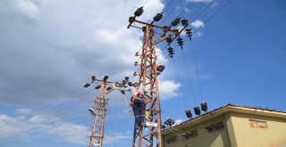 Kuş Ölümleri ‘Kuşkonmaz İle Engelleniyor