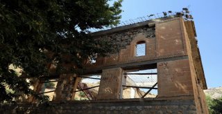 Tarihi Lice Ulu Cami Restorasyonu Devam Ediyor