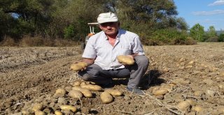 25 Yıldan Beri Yetiştirdiği Kavun Ve Patatesle Geçimini Sağlıyor