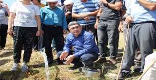 Varto Baltaş Köyünde İçme Suyu Sevinci