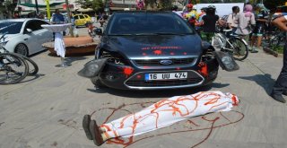 Cesetli Sergi Ürküttü