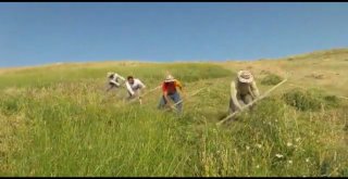 Doğubayazıtlılardan Tırpanla Zayıflama Tavsiyesi