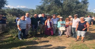 Lavantalı Günler İlgi Gördü