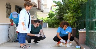 Konyaaltı Belediyesi, Kuduz Aşısı Çalışması Başlattı