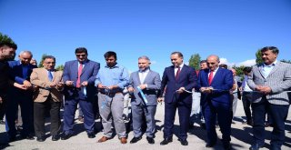 Kahramankazan Kavunu Pazara İndi