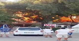 Tatilciler Alev Alev Yanan Kafeyi Endişeli Gözlerle İzledi