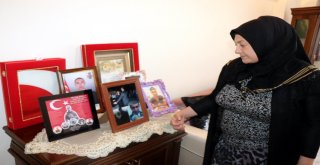 Afrin Şehidinin Annesi: “Devlet Teröristleri Beslemesin, İdam Etsin”