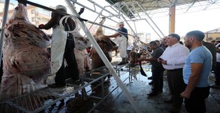 Yenimahallede Kurban Bayramı Coşkusu