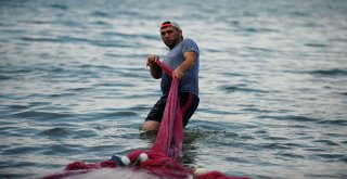 (Özel Haber) Balıkçılar Bu Balığa Av Yasağı Getirilmesini İstiyor