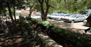 Haliliyedeki Parklarda Peyzaj Çalışmaları