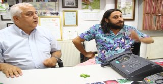 Mevsim Değişiklikleri Zeytini Vurdu
