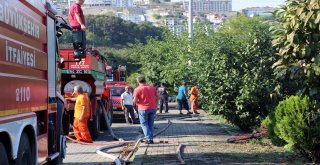 Çalılık Alanda Çıkan Yangın 10 Dönümlük Araziyi Küle Çevirdi