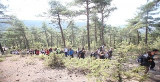 Doğa Yürüyüşleri Taraklıda Başladı