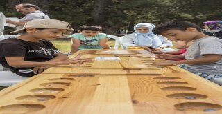 Ata Sporları Rekor Kırdı