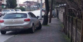 Sapanca Belediyesinden Duyarlılık Çağrısı