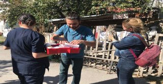 Boluda, Sokak Hayvanları Muayene Edildi