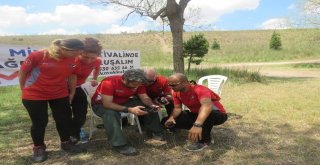 Daktan Motofeste Destek