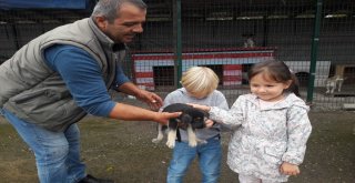 Anaokulu Öğrencilerine Hayvan Sevgisi Aşılandı