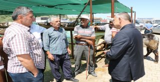 Başkan Öztürk Kurban Pazarını Ziyaret Etti