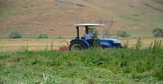 Ottan İyi Verim Alan Çiftçinin Keyfi Yerinde