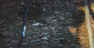 Antalyada Film Gibi Hırsızlık Operasyonu