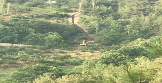 Çulluuşağı Mahallesinin İçme Suyu Sorunu Çözüldü