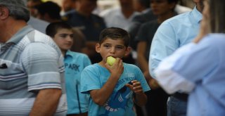 Gürsuda Armut Festivali Coşkusu