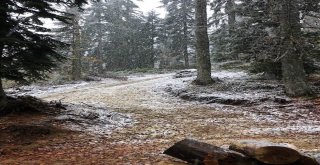 Yenice Ormanlarına İlk Kar Düştü