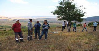 Kayyum Çetin: “Artık Terör Merör Bitti”