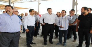 Canlı Hayvan Borsası Kurbanda Hizmette