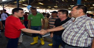 Tütüncü, Kurban Kesim Yerlerini Denetledi