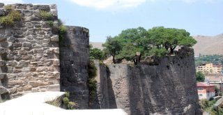 (Özel Haber) Bitlis Kalesinde Osmanlı Dönemine Ait Mezar Bulundu