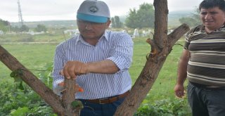 Başkan Köksoy, Personeli İle Temizlik Çalışmalarına Katıldı