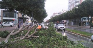 Büyükşehir'den fırtına ve yağmur seferberliği