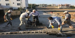 Başkan Toprak Çalışmaları Yerinde İnceledi