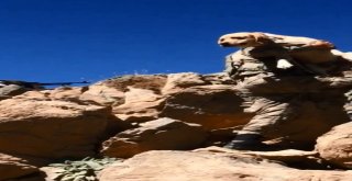 Mehmetçik Yay İle Dağlarda Terörist Avında