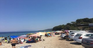 Kuşadası Milli Parkı Bayram Tatilinde Ziyaretçi Rekoru Kırdı