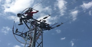 Bakım Onarım Çalışmalarıyla Arıza Sayıları Yüzde 70 Azaldı