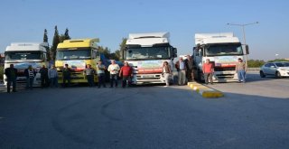 Aydına 490 Ton Hibe Tritikale Ve Fiğ Tohumu