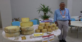 Doğu Anadolunun Birbirinden Lezzetli Peynirleri Bitliste Buluştu