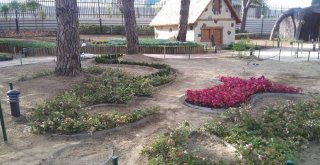 Şehzadelerin Parkları Rengarenk