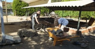 Adramytteion Antik Kentinde Kazı Sezonu Bitti