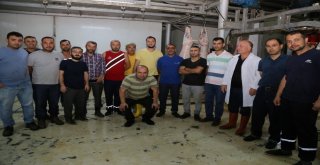 Kurban Bayramı Öncesinde,ko-Mekte Kurban Kesim Kursu