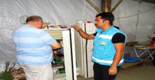 Festival Alanında Gıda Denetimi