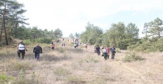 Doğa Yürüyüşleri Taraklıda Başladı