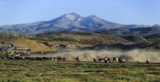 Başkan Çelik, Kayserinin Değerlerinin Ortaya Çıkarılmasına Katkı Sağlıyoruz